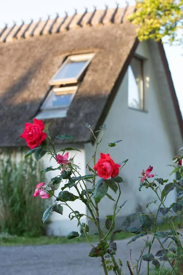 Bed & Breakfast Fridfullt Boende Pa Lantgard Med Underbar Utsikt Malmö